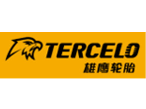 雄鷹輪胎（青州）有限公司