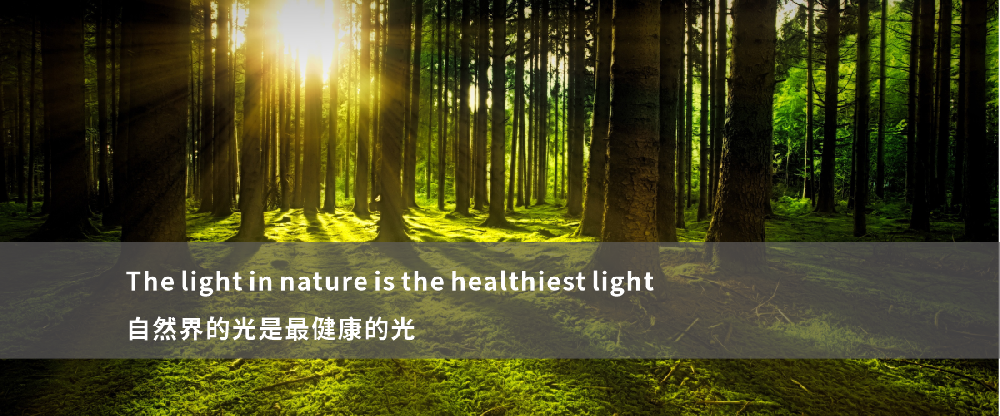 自然界 太陽燈