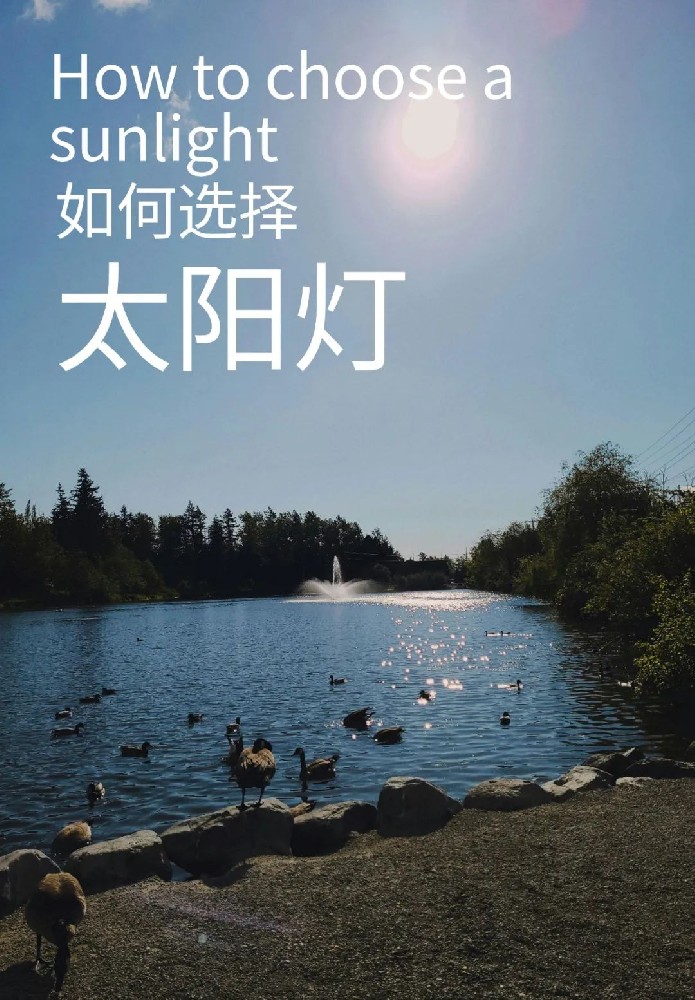 如何選擇太陽燈